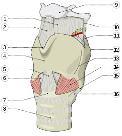 krtan2